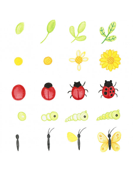 Natuur ontdekkings koffer Natuur ontdekkings koffer