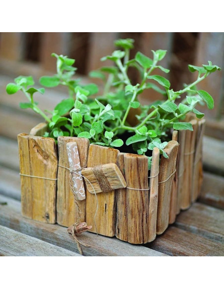 Drijfhout stokjes breed Drijfhout stokjes breed