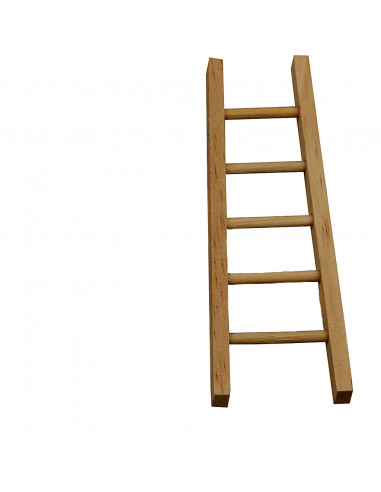 Ladder miniatuur