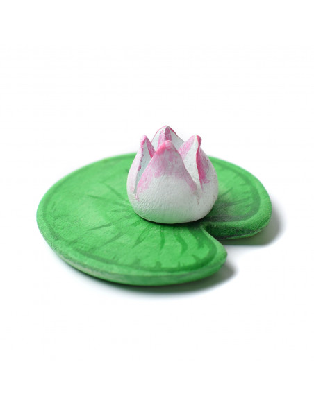 Waterlelie Waterlelie