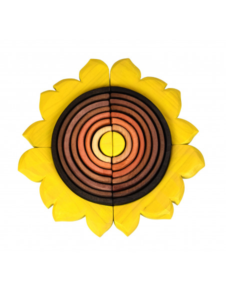 Zonnebloem regenboog