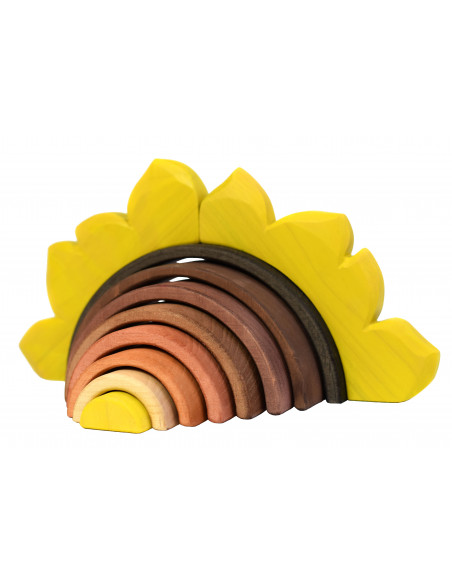 Zonnebloem regenboog