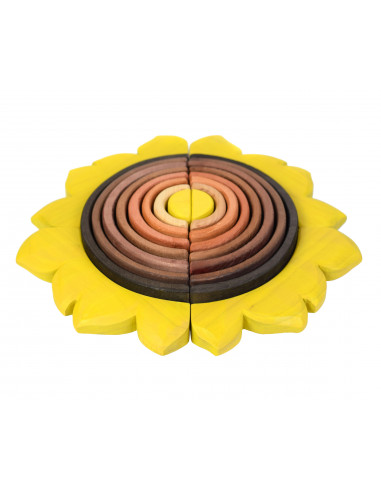 Zonnebloem regenboog