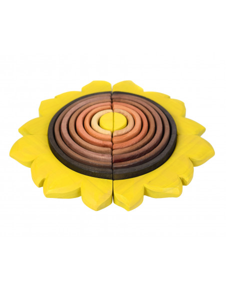 Zonnebloem regenboog