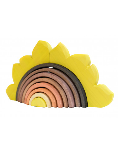 Zonnebloem regenboog