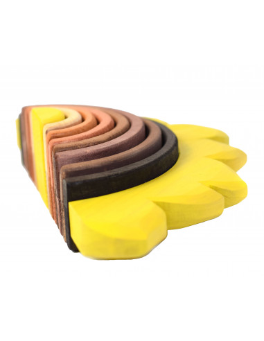 Zonnebloem regenboog