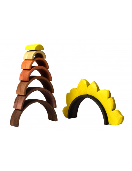 Zonnebloem regenboog