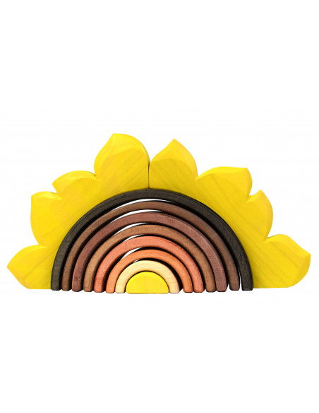 Zonnebloem regenboog