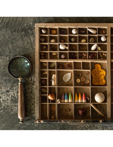 Kleurige kabouters baby's