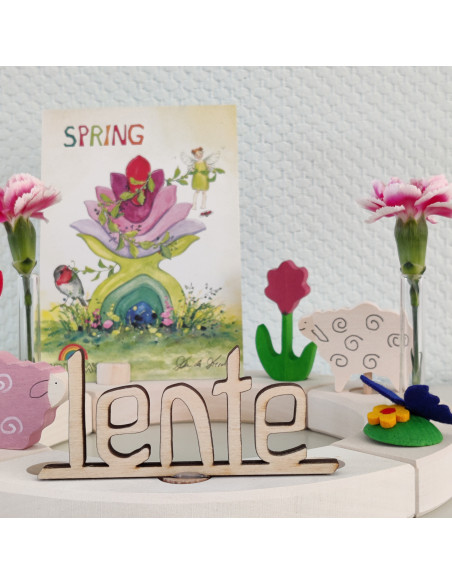 Lente steker