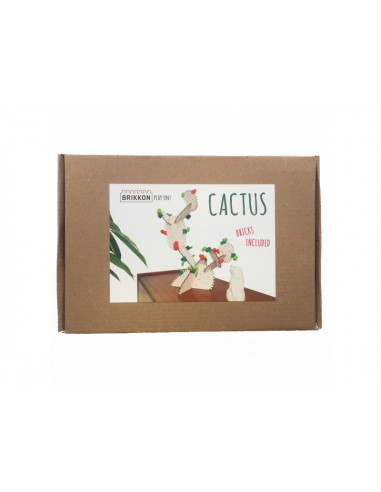 Brikkon cactus