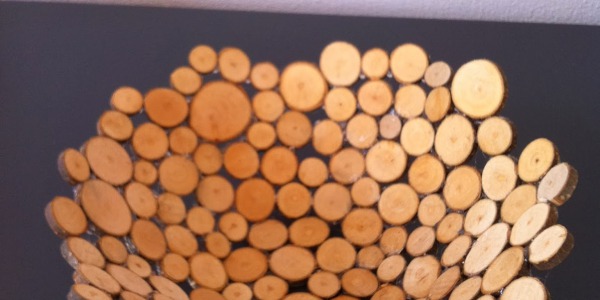Knutsel een schaal van houtplakjes