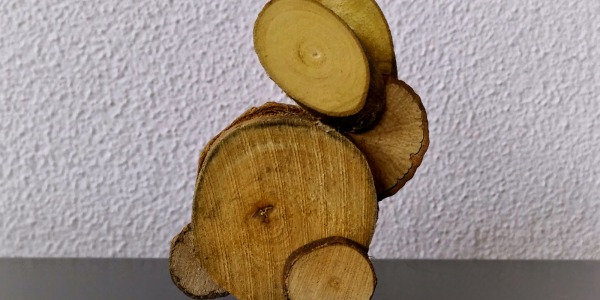 Paashaas knutselen met houtplakjes